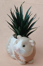 Small Guinea Pig Hamster Plant Pot With Artificial Succulent