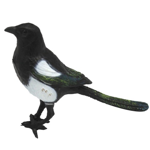 Magpie simulation bird - magpie,