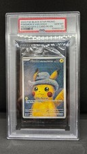 Pokemon Pikachu Van Gogh With