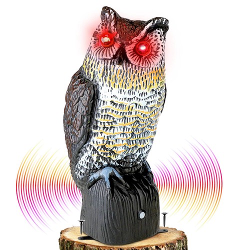 Solar owl bird - bird, deterrent