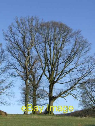 Photo 6x4 cross - 6x4, country