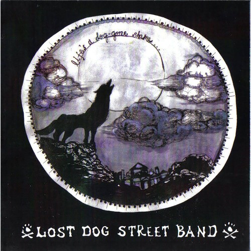 Lost dog street - lost,