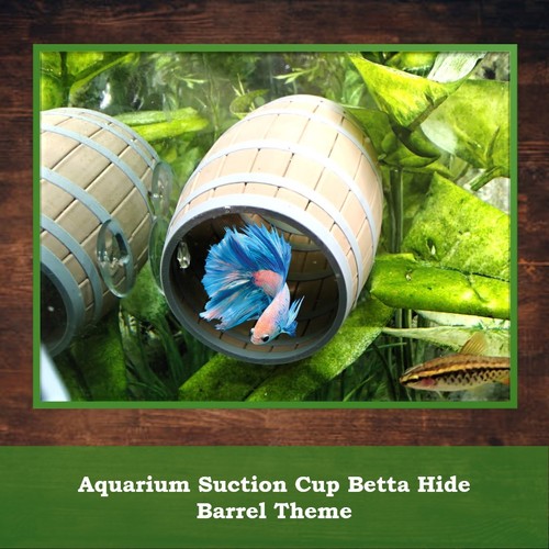 Aquarium barrel betta - aquarium,