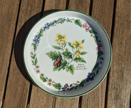 Royal worcester herbs black - herbs,