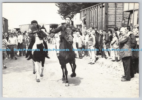 L359157 appleby fair - l359157,