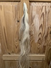 BLONDE WITH PIEBALD FLECK
