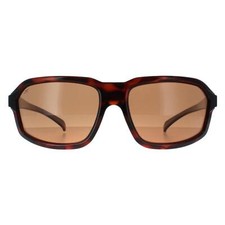 Serengeti Sunglasses Hext SS571004 Shiny Tortoise Saturn Drivers Polarized