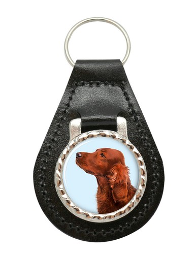 Irish red setter - red,