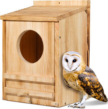Barn Owl House, Owl Nesting