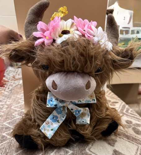 Highland cow bull tall - bull,