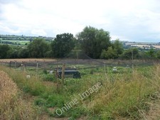 Photo 6x4 Pheasant rearing pen