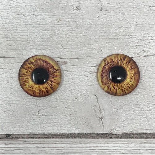 Pair gold glass eyes great - pair, of