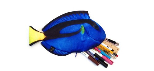 Blue tang fish real - tang,