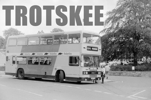 35mm negative badgerline - 35mm,