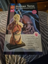 HUMAN MODEL TORSO  KIT WITH 8