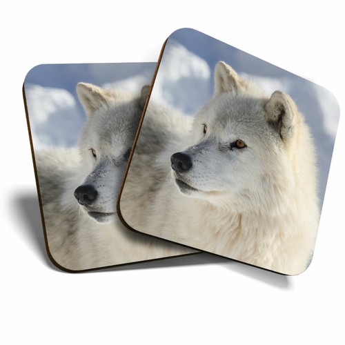 Coasters white wolf - white,