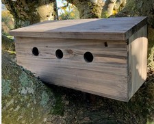 Sparrow Nest Box Terrace