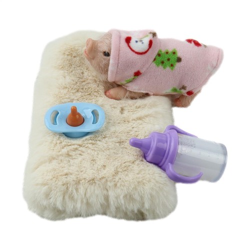 Silicone pet pig set realistic - pet,