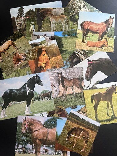 Vintage horses collage art - vintage,