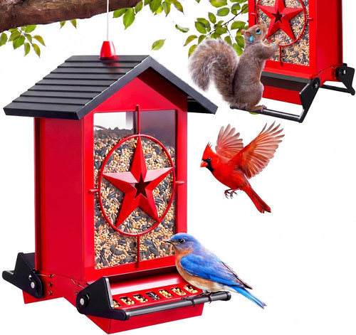 Squirrel proof bird feeders - squirrel,