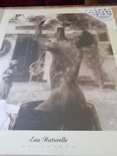 New Vintage Athena  Poster