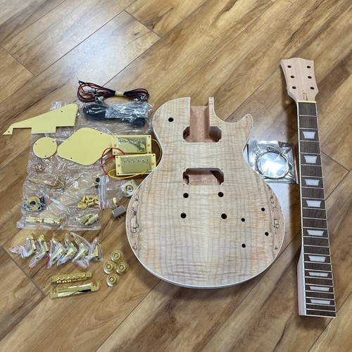 Unfinished diy electric - lp,