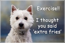 Westie West Highland White