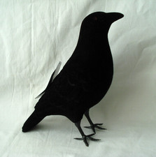 Large Black Halloween Raven