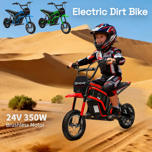 24v 350w electric dirt - 350w,