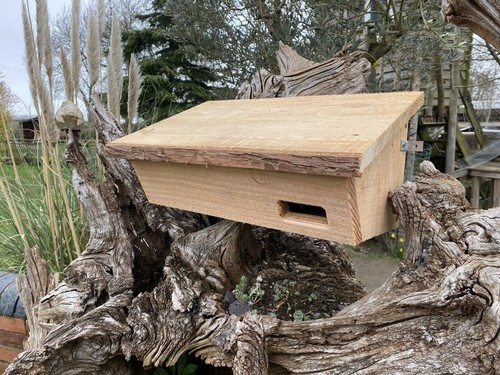 Swift box natural - box,