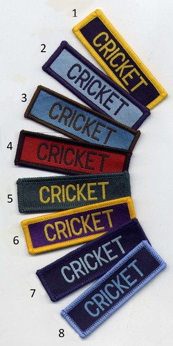 Cricket school sports flash - school,