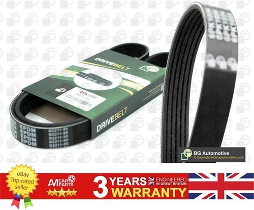 Ribbed belt for alfa romeo - v,
