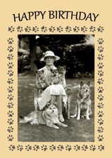 FINNISH SPITZ LADY AND DOGS