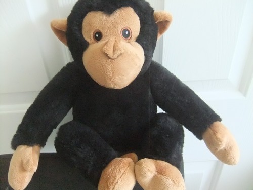 23cm ravensden black - black, ginger