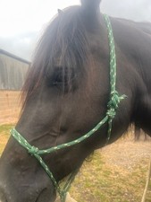 parelli rope halter hackamore