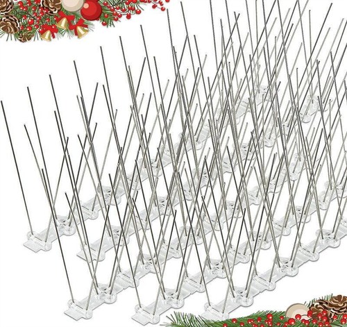 10m pigeon bird spikes wall - pigeon,