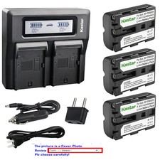 Kastar Battery LCD Fast