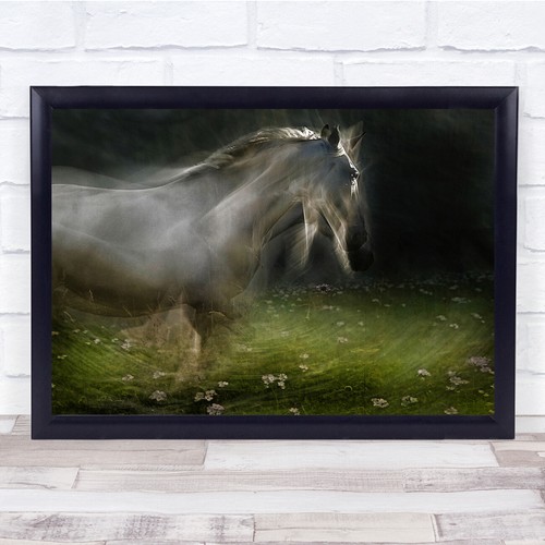Horse animal double exposure - horse,