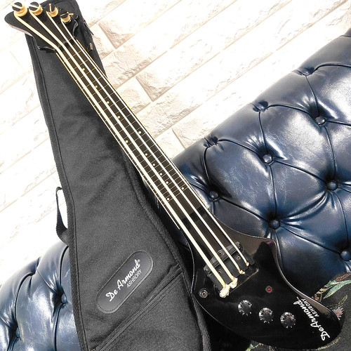Ashbory fretless