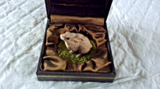country artist baby rabbit in gift box.