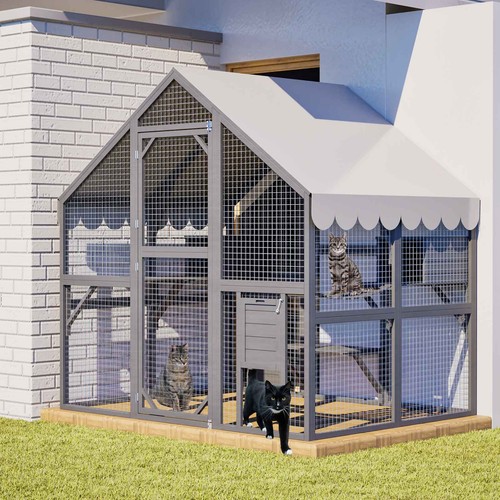 Cat cage enclosure - cat, outdoor