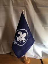 BLUE SCOUTS  FLOOR STANDING
