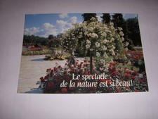 CP POSTCARD MESSAGE FRUIT TREE