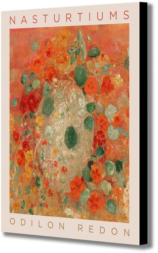 Nasturtiums abstract flowers - nasturtiums,