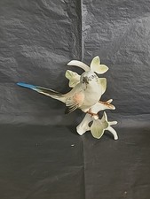 Karl Ens Long Tailed Tit