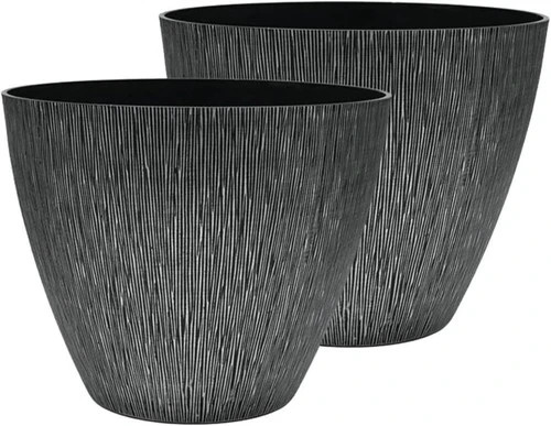 Traders modern plant - sg,
