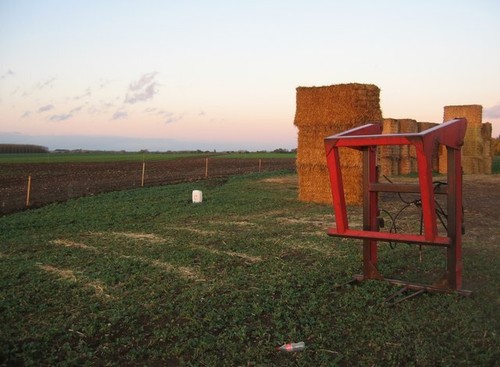 Photo 6x4 big bale - 'big, grab'