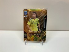 Panini FIFA 365 2026 Golden