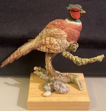 Ring Necked Pheasant On Branch