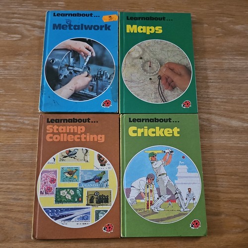 Vintage ladybird - vintage,